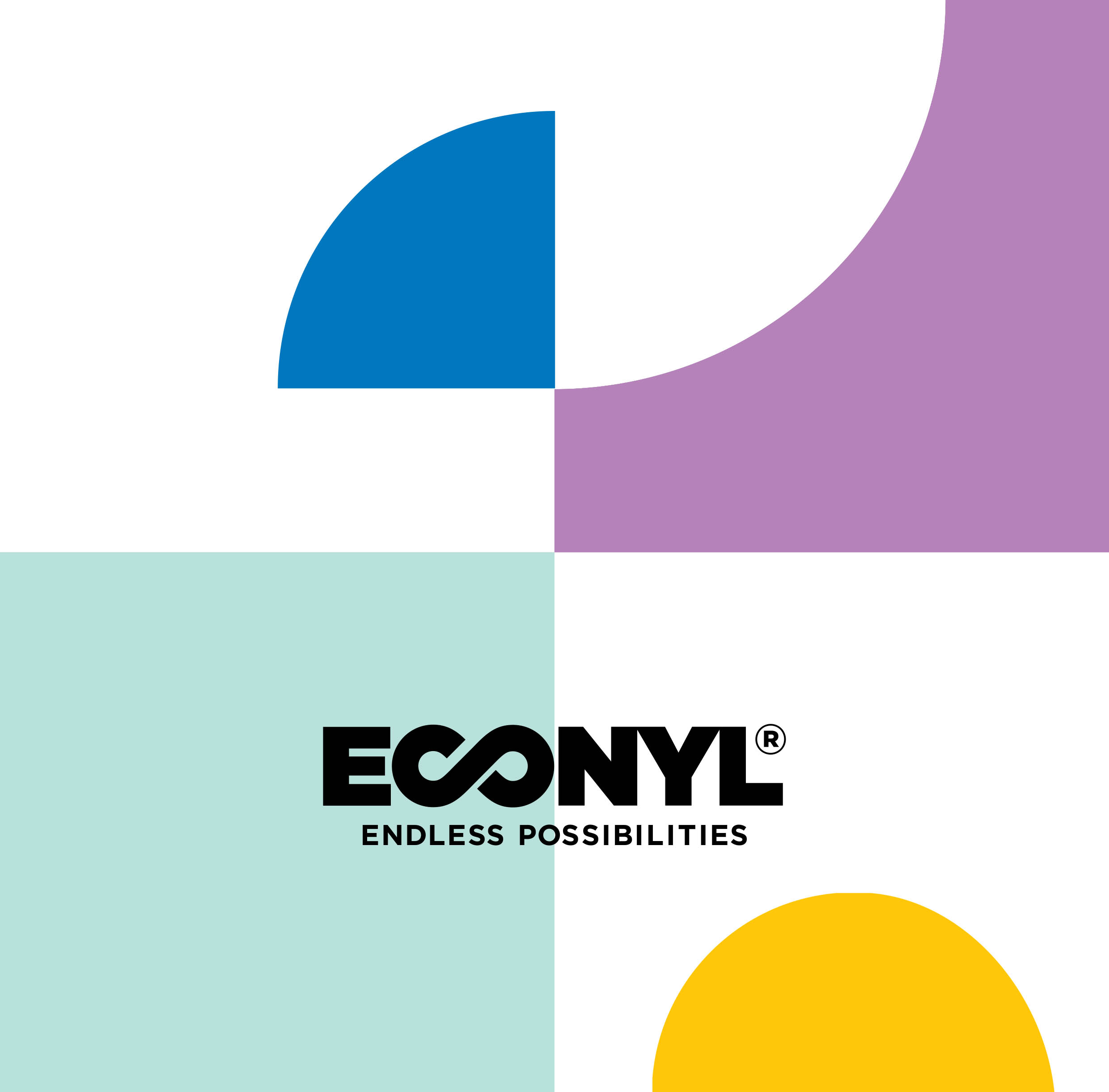 Logo Econyl